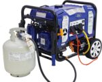 Ford 11.050 Watt Dual Fuel Tragbarer Generator FG11050PBE