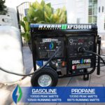DuroMax XP13000EH 13,000 Watt Dual Fuel Portable Generator