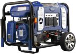 Ford 11,050 Watt Dual Fuel Portable Generator FG11050PBE