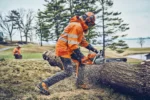 Husqvarna 562 XP® Mark II / 45