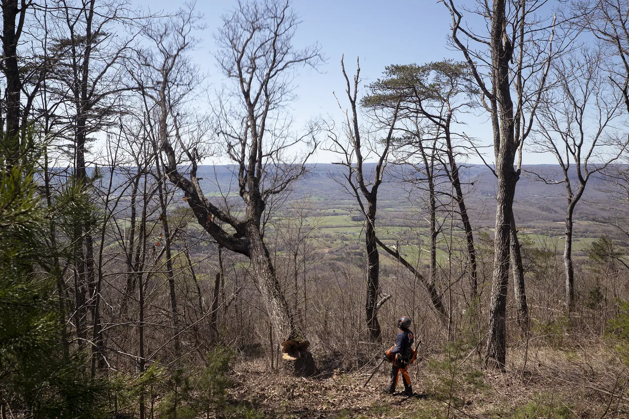 Husqvarna 585 / 60 – X-Torq Husqvarna 585 / 60 – X-Torq