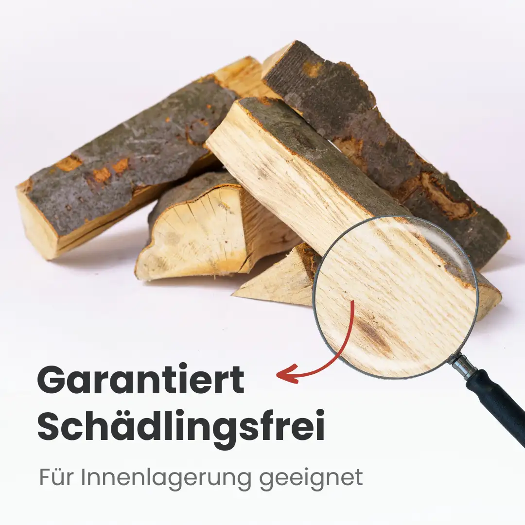 Kaminholz Buche kammergetrocknet | 1 RM ( Scheitlänge 25 cm ) Kaminholz Buche kammergetrocknet | 1 RM ( Scheitlänge 25 cm )