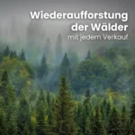 Kaminholz Buche kammergetrocknet | 1 RM ( Scheitlänge 25 cm )