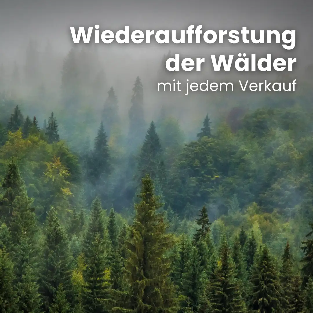 Kaminholz Buche kammergetrocknet | 1 RM ( Scheitlänge 25 cm ) Kaminholz Buche kammergetrocknet | 1 RM ( Scheitlänge 25 cm )