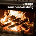 Kaminholz Buche kammergetrocknet | 1 RM ( Scheitlänge 25 cm )