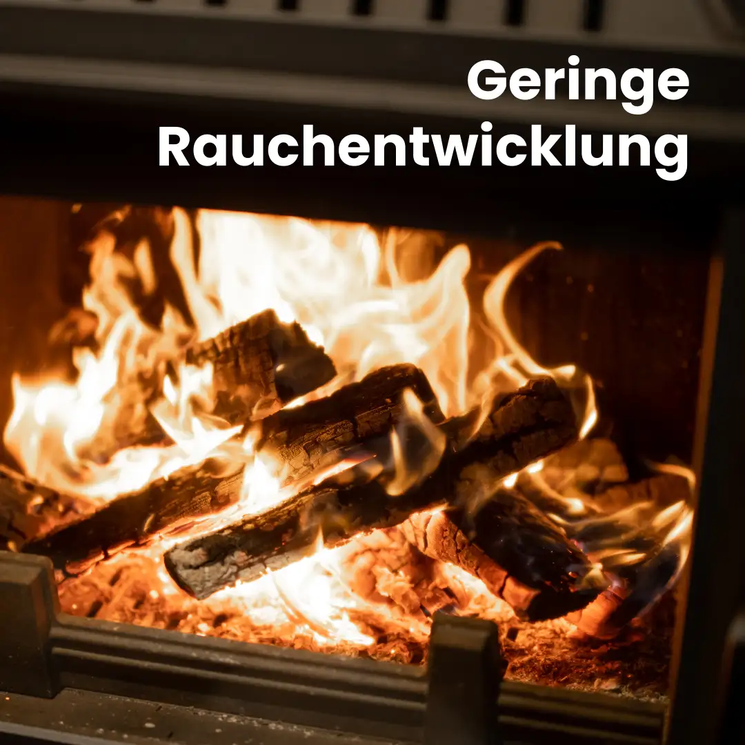 Kaminholz Buche kammergetrocknet | 1 RM ( Scheitlänge 25 cm ) Kaminholz Buche kammergetrocknet | 1 RM ( Scheitlänge 25 cm )