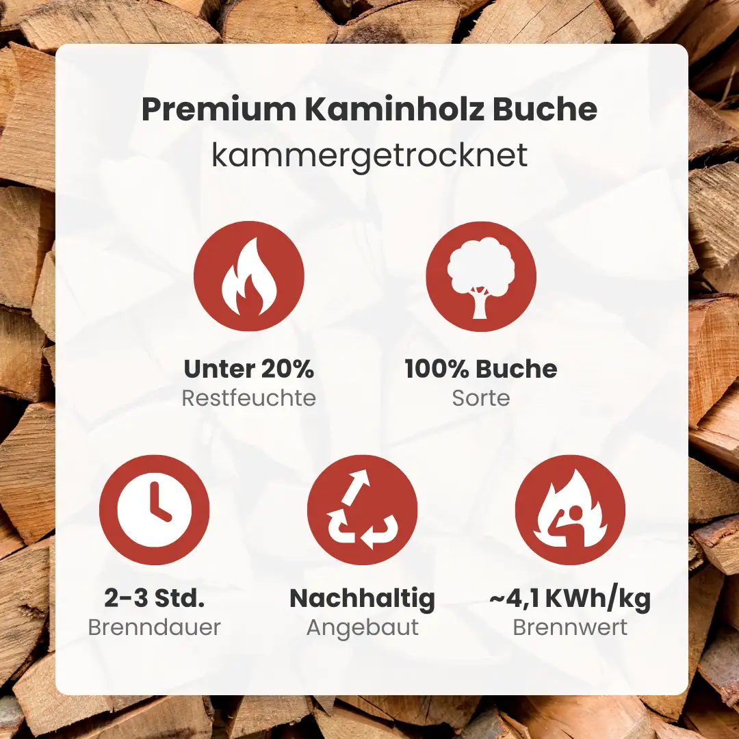 Kaminholz Buche kammergetrocknet | 1 RM ( Scheitlänge 25 cm ) Kaminholz Buche kammergetrocknet | 1 RM ( Scheitlänge 25 cm )