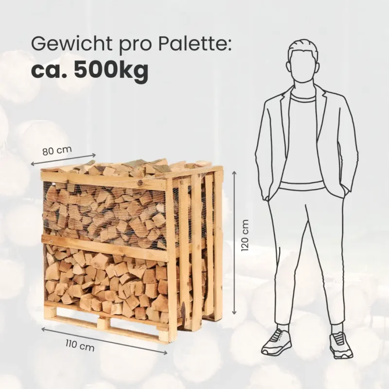 LKW Ladung Kaminholz Buche